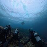 風強めでも充実ダイブ♪｜石垣島ダイビングショップ・マリンメイト
