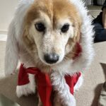 ヨナラ水道　水中は熱い！！！